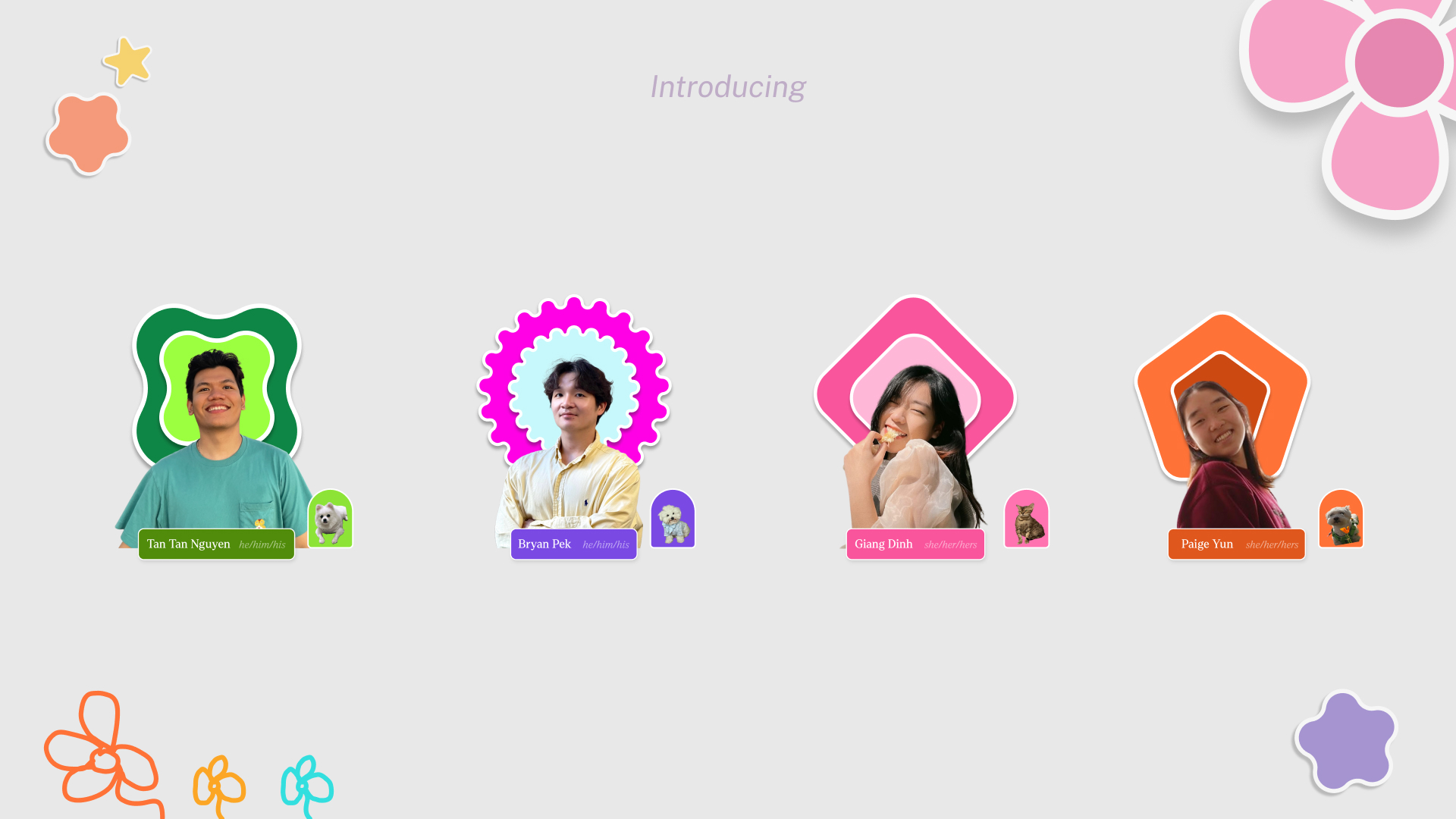 Introducing the Team