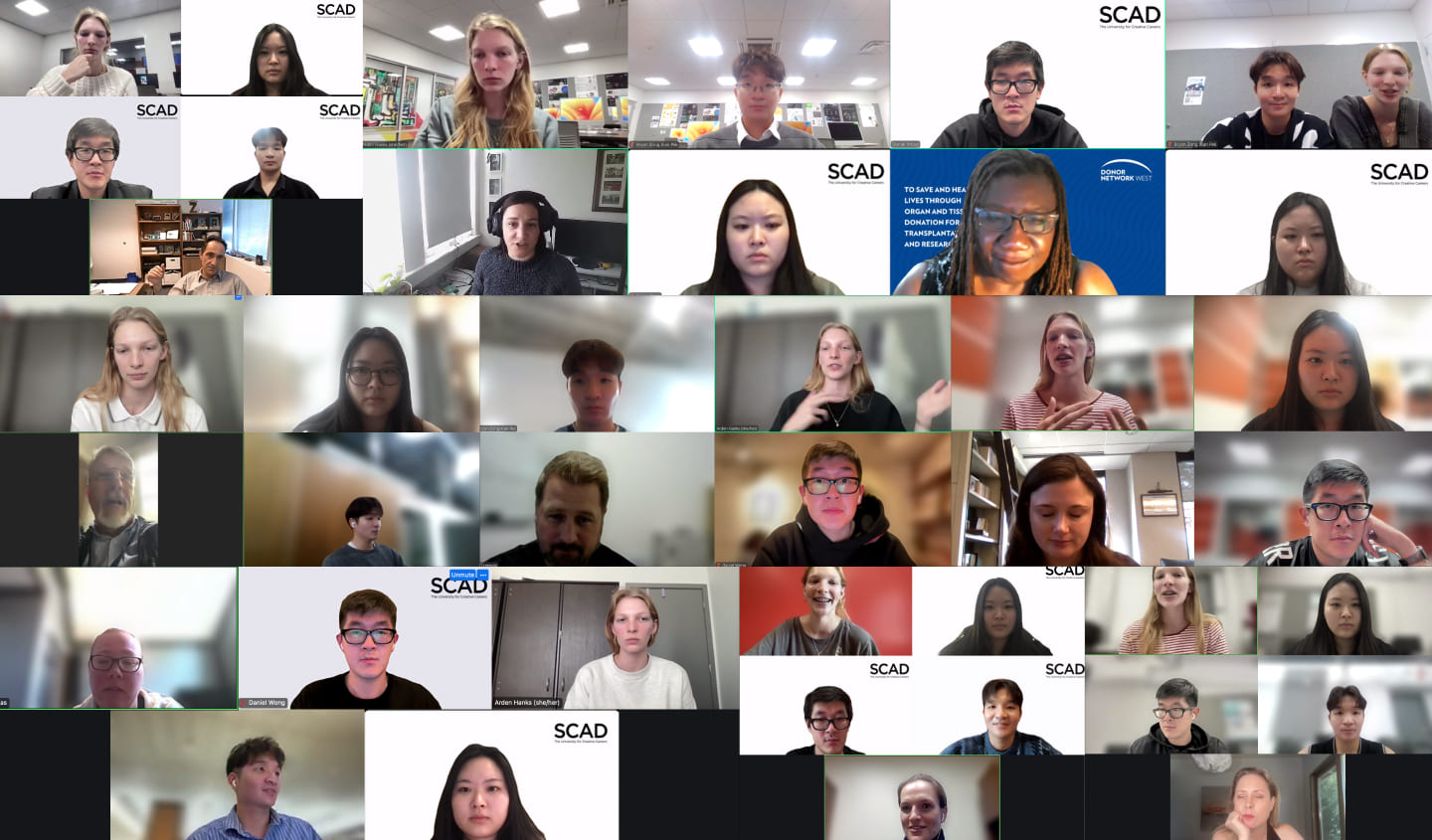 Zoom interview grid with OPO stakeholders